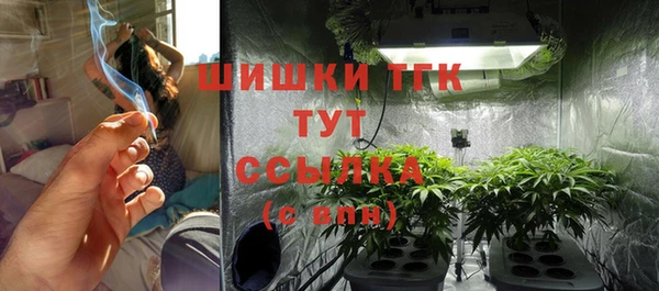 гашик Вязники