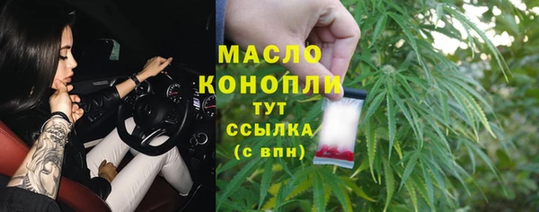 молекула духа Горнозаводск